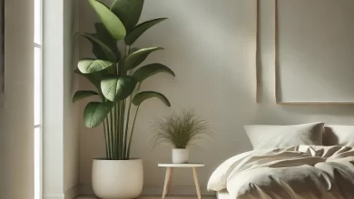 گیاهان در طراحی اتاق خواب